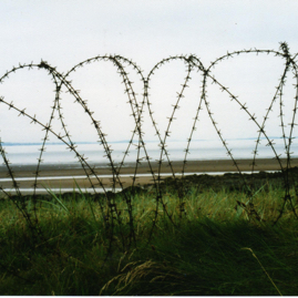 Barbed wire along the coast.jpg